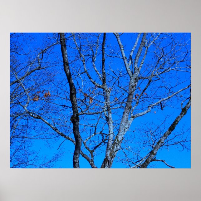 The Last Remains Of Fall Poster (Front)