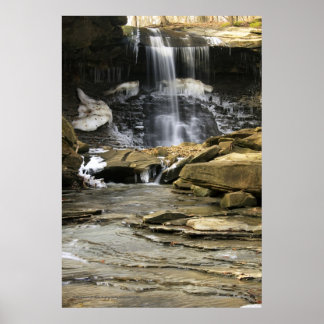 The Last Remnants of Winter Poster