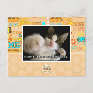 The last thing postcard