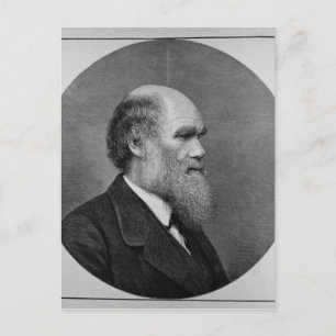 The Late Mr C. R. Darwin, FRS, LLD Postcard