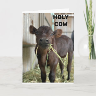 THE LATEST MOOS IS THAT YOU ARE ***50*** CARD