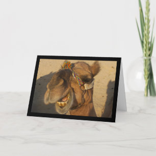 The Laughing Camel Card