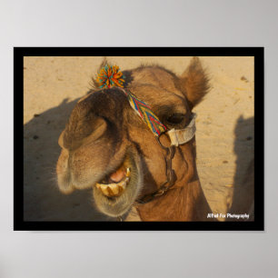 The Laughing Camel Poster