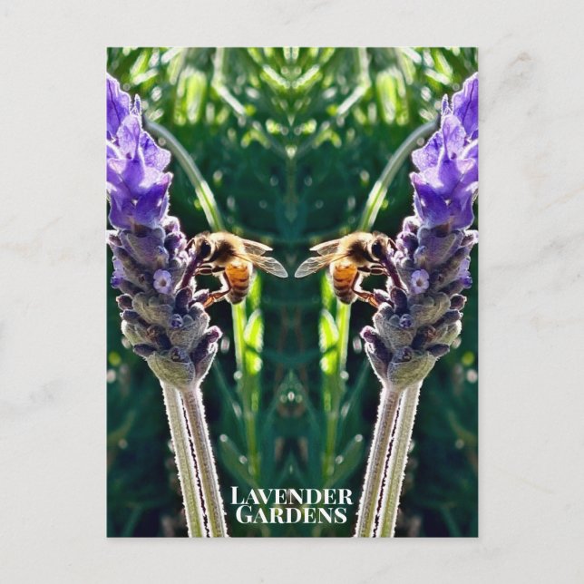 The Lavender & The Bee Postcard (Front)