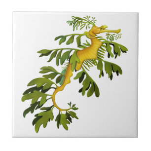 The Leafy Sea Dragon Art Tile
