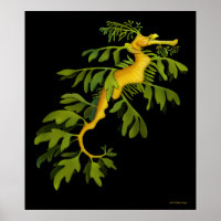 The Leafy Sea Dragon Seahorse Poster
