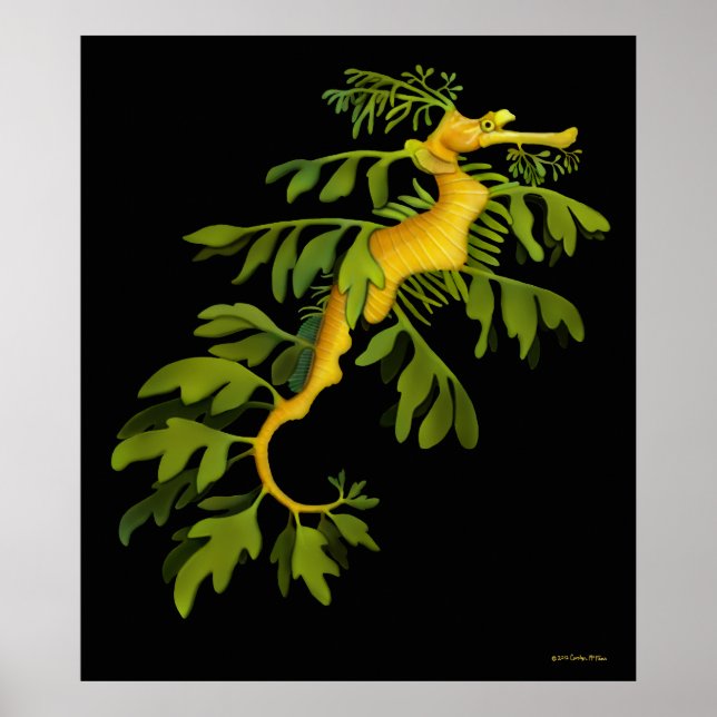 The Leafy Sea Dragon Seahorse Poster (Front)