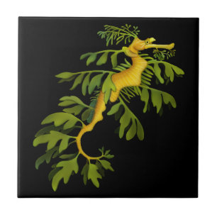 The Leafy Sea Dragon Seahorse Tile