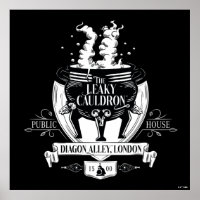 THE LEAKY CAULDRON™ Shop Graphic