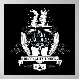 THE LEAKY CAULDRON™ Shop Graphic Poster