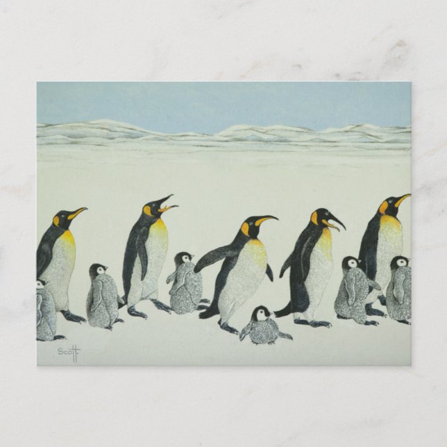 The learning curve postcard (Front)