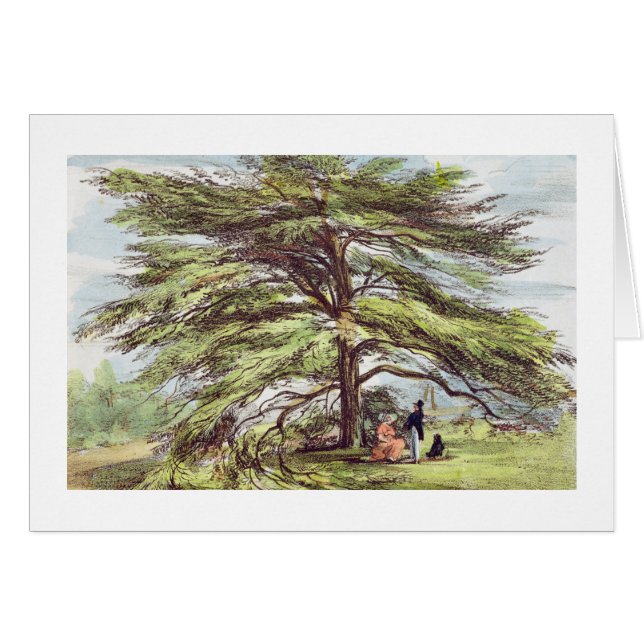 The Lebanon Cedar Tree in the Arboretum, Kew Garde (Front Horizontal)