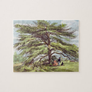 The Lebanon Cedar Tree in the Arboretum, Kew Garde Jigsaw Puzzle