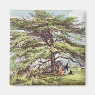 The Lebanon Cedar Tree in the Arboretum, Kew Garde Magnet
