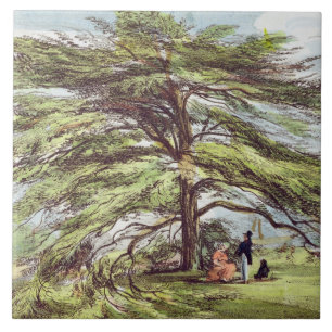 The Lebanon Cedar Tree in the Arboretum, Kew Garde Tile