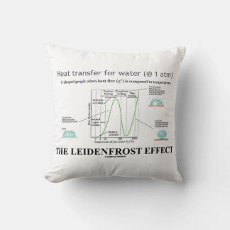 The Leidenfrost Effect Chemistry Water Cushion