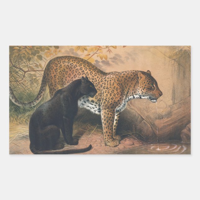 The Leopard by Joseph Wolf Rectangular Sticker (Front)