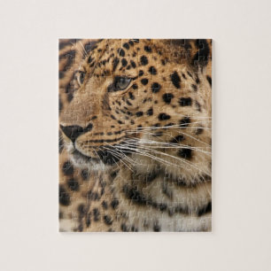 The Leopard Jigsaw Puzzle