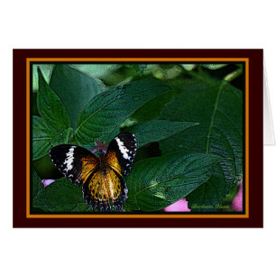 The Leopard Lacewing (Cethosia cyane): Butterfly