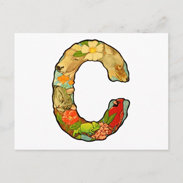 The Letter C Postcard (Front)