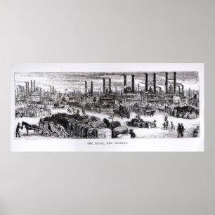 The Levee, New Orleans Poster