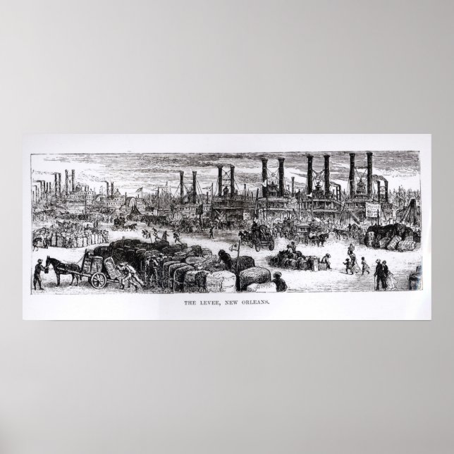 The Levee, New Orleans Poster (Front)