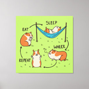 The life cycle of a Guinea Pig Canvas Print