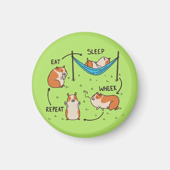 The life cycle of a Guinea Pig Magnet (Front)