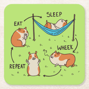The life cycle of a Guinea Pig Square Paper Coaster