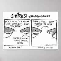 The Life of Sharks Great White Shark