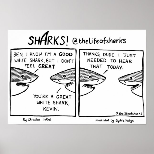 The Life of Sharks  Great White Shark Poster (Front)