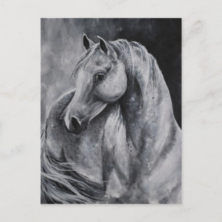 The light of morning postcard