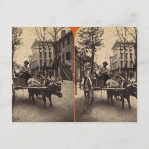 The Lightning Express, Savannah, Ga c. 1886 Postcard