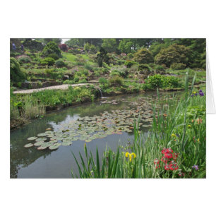 The Lily Pond at RHS Wisley