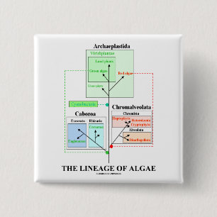 The Lineage Of Algae 15 Cm Square Badge