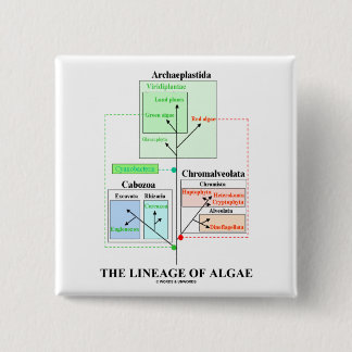 The Lineage Of Algae 15 Cm Square Badge