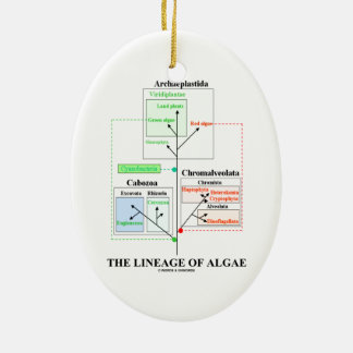 The Lineage Of Algae Evolutionary Biology Ceramic Tree Decoration
