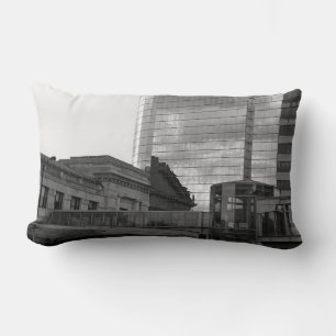 The Link Lumbar Cushion