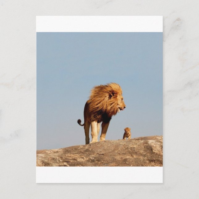 The Lion King ( Adult Lion and Cub) Postcard (Front)