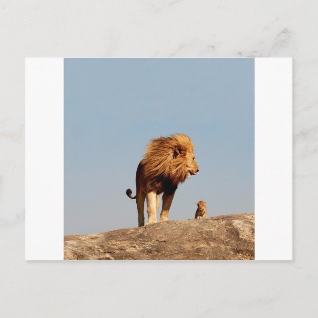 The Lion King ( Adult Lion and Cub) Postcard (Front)