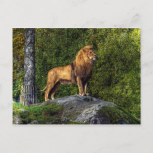The lion king postcard