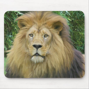 The Lion Mouse Mat