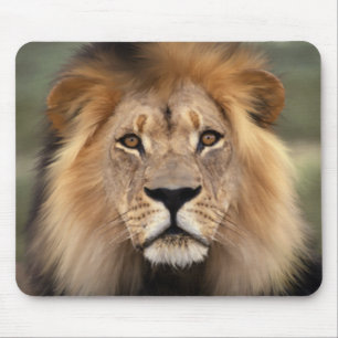 The Lion Mouse Mat