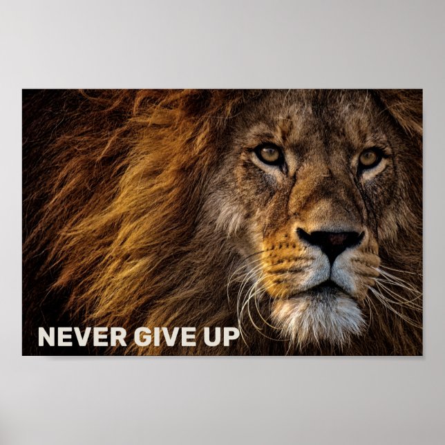 The Lion - Never Give Up Poster (Front)