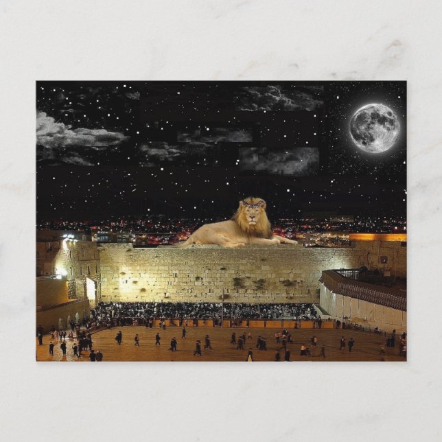 The Lion Of Judah On The Western Wall Postcard (Front)