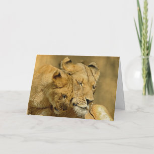 The Lioness and Cub Card