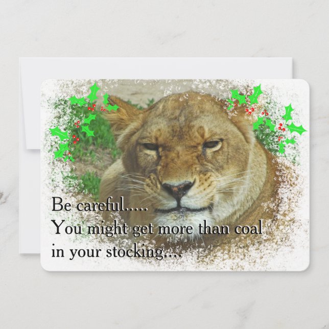 The Lioness Christmas Holiday Card (Front)