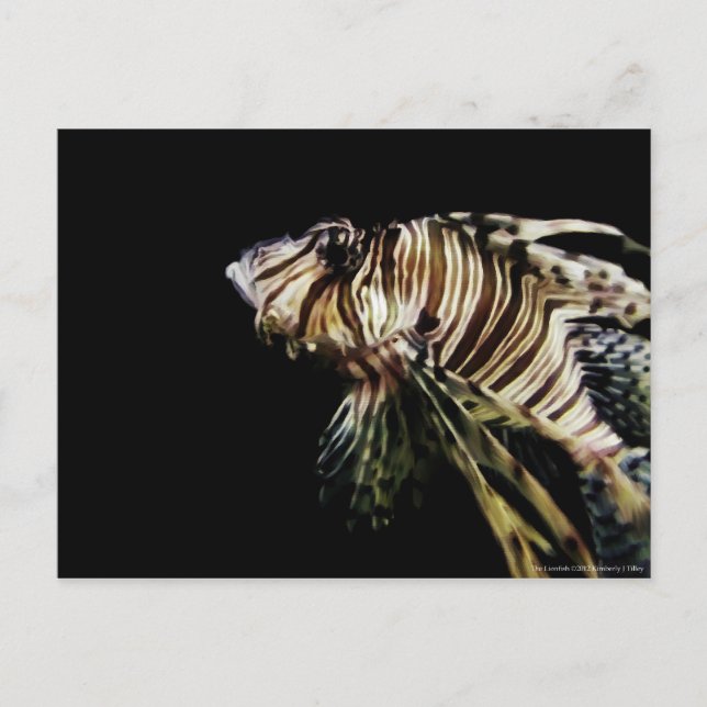 The Lionfish Postcard (Front)