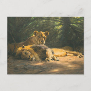 The Lions' Den by Wilhelm Kuhnert Postcard