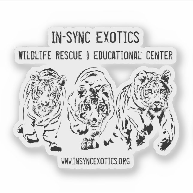 The Little Boys - (Front)